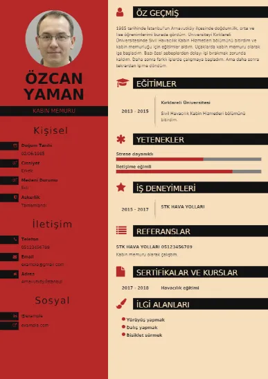 Hostes Örnek cv indir